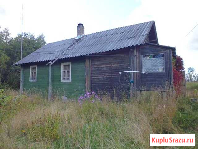 Дом 50 м² на участке 20 сот. на продажу в Подпорожье Подпорожье - изображение 2