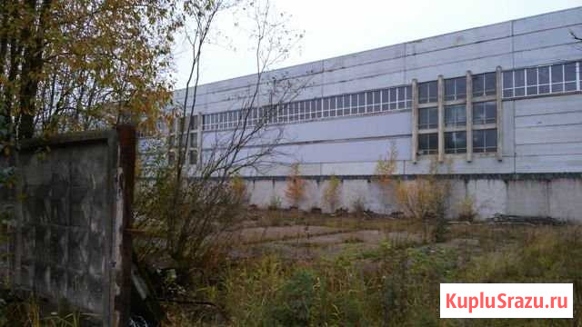 Участок промназначения 57 сот. на продажу в Новом Девяткино Новое Девяткино - изображение 3