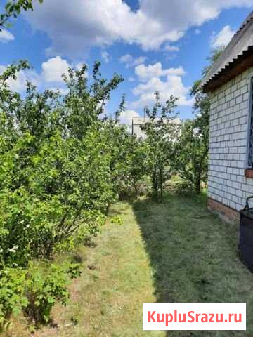 Дача 40 м² на участке 9 сот. на продажу в Рамони Рамонь - изображение 2