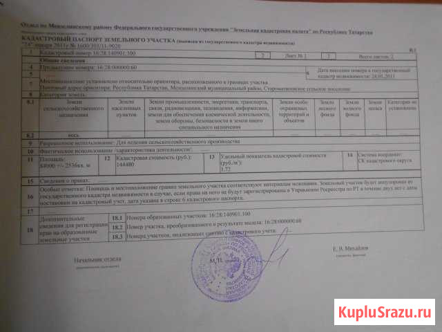Участок СНТ, ДНП 840 сот. на продажу в Мензелинске Мензелинск - изображение 3