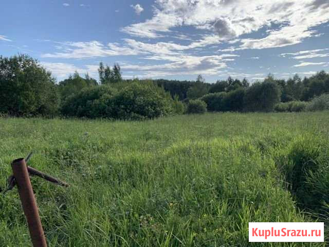 Дом 60 м² на участке 14 сот. на продажу в Петушках Петушки - изображение 3