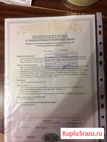 Участок СНТ, ДНП 260 сот. на продажу в Приморске Калининградской области Приморск - изображение 1