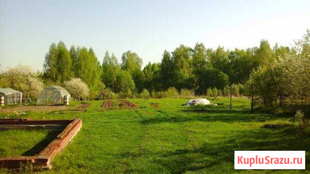 Участок ИЖС 27 сот. на продажу в Агеево Агеево - изображение 3