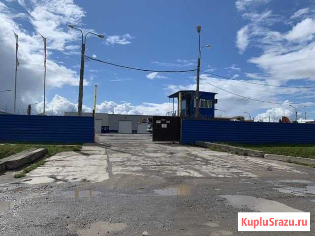 Участок промназначения 100 сот. в аренду в Колпино Колпино - изображение 1