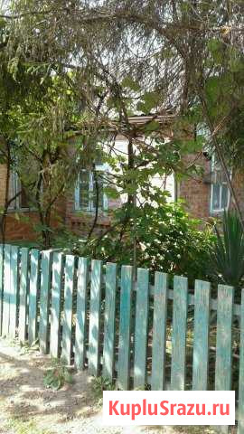 Дом 42 м² на участке 6 сот. на продажу в Кореновске Кореновск - изображение 2