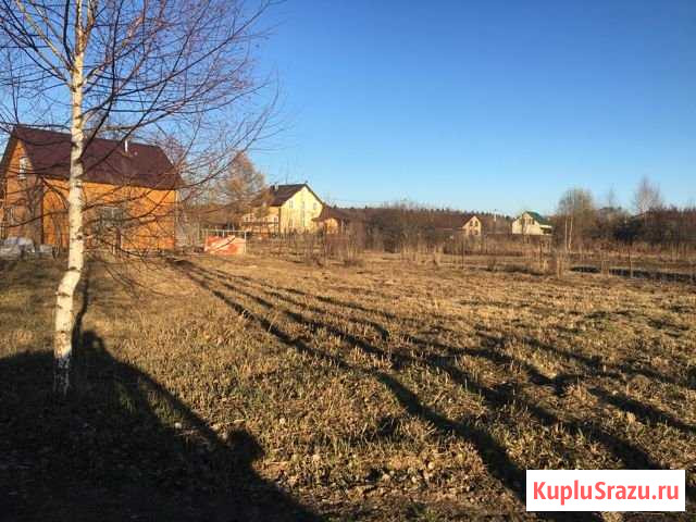 Участок ИЖС 6 сот. на продажу в Новосиньково Новосиньково - изображение 2
