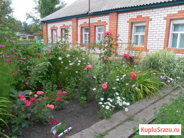 Дом 61 м² на участке 13 сот. на продажу в Терновке Терновка - изображение 1