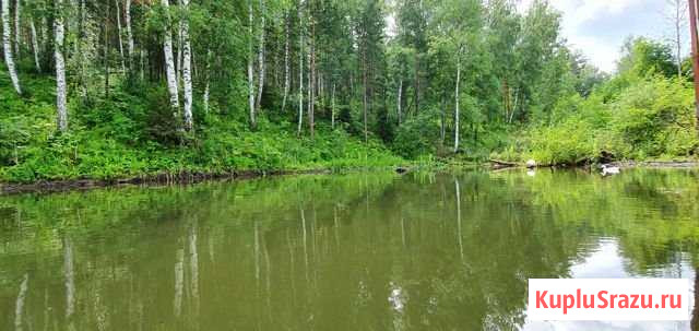 Участок СНТ, ДНП 10 сот. на продажу в Красноярске Красноярск - изображение 1