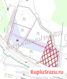 Участок промназначения 100 сот. на продажу в Калининграде Калининград - изображение 2