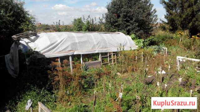 Дача 20 м² на участке 6 сот. на продажу в Омске Омск - изображение 2