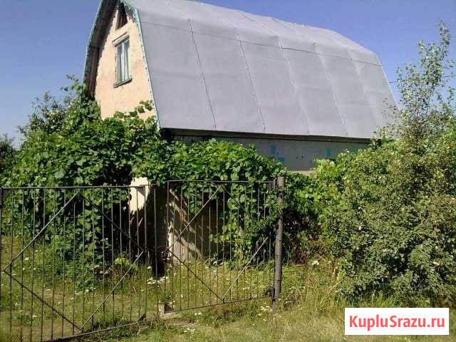 Дача 56 м² на участке 15 сот. на продажу в Рамони Рамонь - изображение 2
