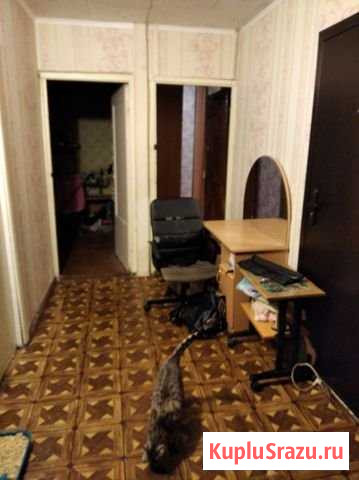 Комната 15 м² в 4-ком. кв., 1/9 эт. на продажу в Дзержинске Дзержинск - изображение 2