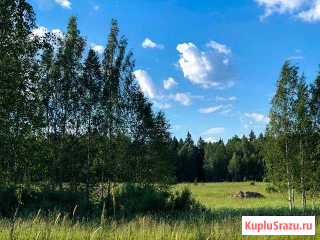 Участок ИЖС 6 сот. на продажу в Звенигороде Звенигород - изображение 2