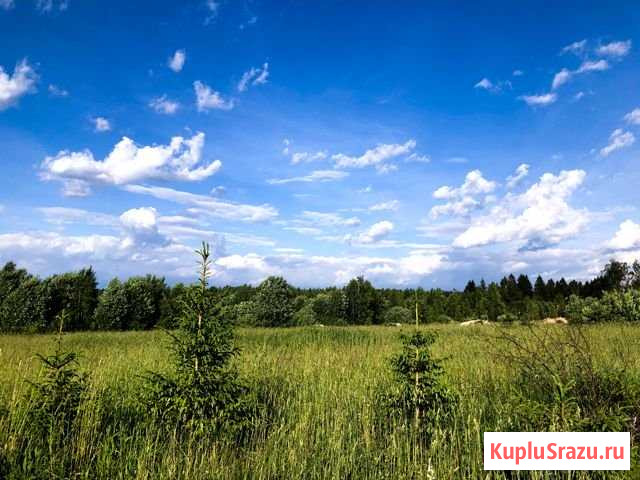 Участок ИЖС 6 сот. на продажу в Звенигороде Звенигород - изображение 1