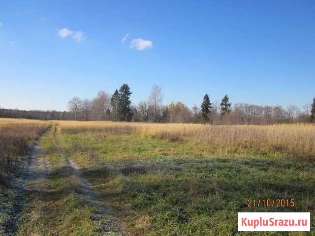 Участок СНТ, ДНП 1515 сот. на продажу в Клине Клин - изображение 1