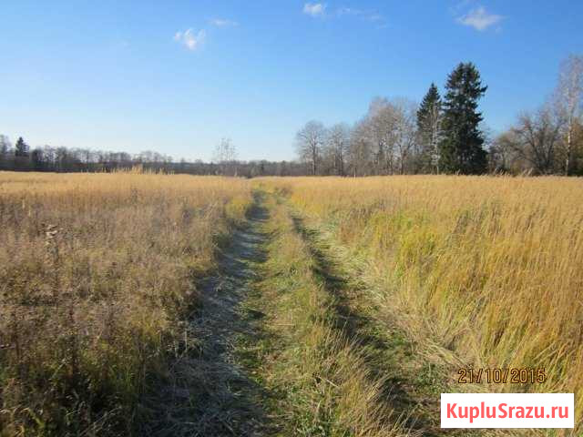 Участок СНТ, ДНП 1515 сот. на продажу в Клине Клин - изображение 3