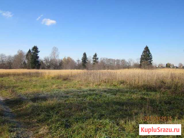 Участок СНТ, ДНП 1515 сот. на продажу в Клине Клин - изображение 2
