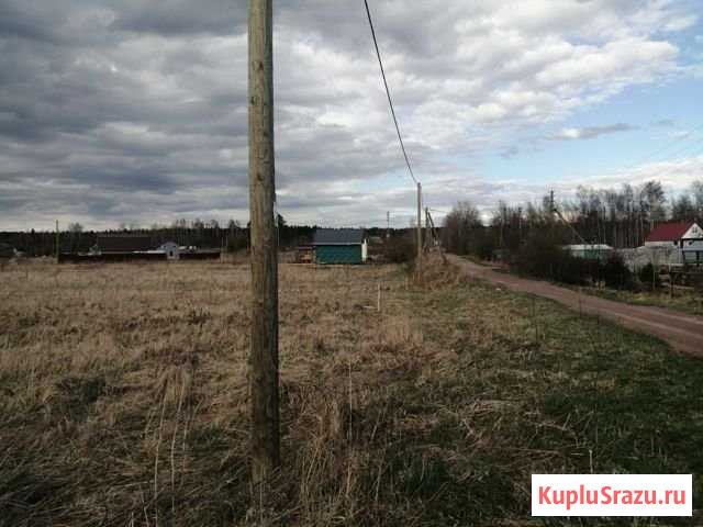 Участок СНТ, ДНП 15 сот. на продажу в Выборге Выборг - изображение 1