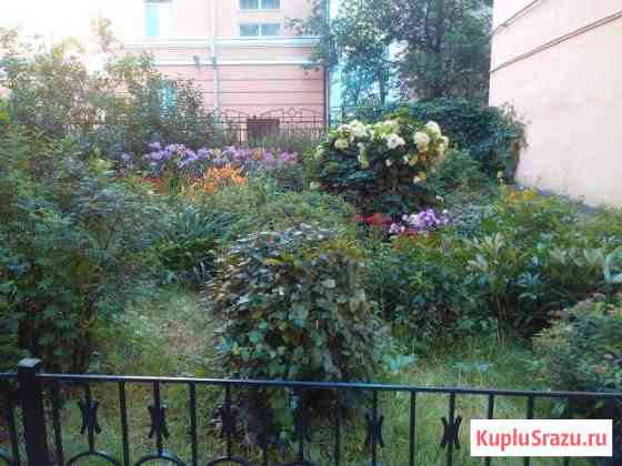 1-комнатная квартира, 36 м², 1/4 эт. в аренду на длительный срок в Санкт-Петербурге Санкт-Петербург