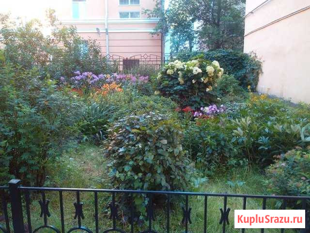 1-комнатная квартира, 36 м², 1/4 эт. в аренду на длительный срок в Санкт-Петербурге Санкт-Петербург - изображение 1