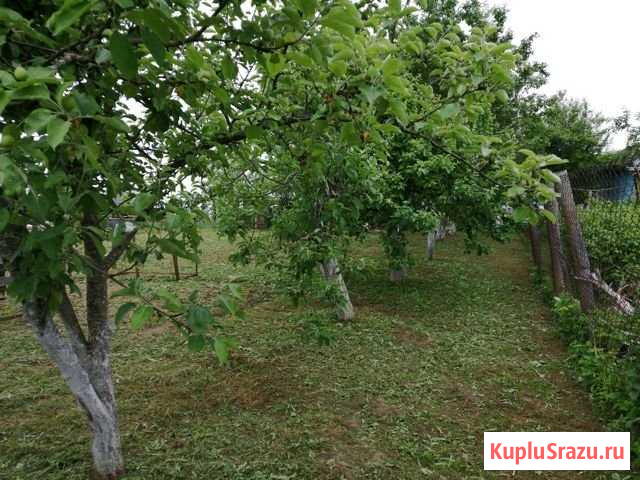 Участок СНТ, ДНП 6 сот. на продажу в Пречистом Пречистое - изображение 1
