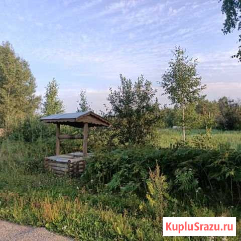 Участок ИЖС 20 сот. на продажу в Червишево Червишево - изображение 3