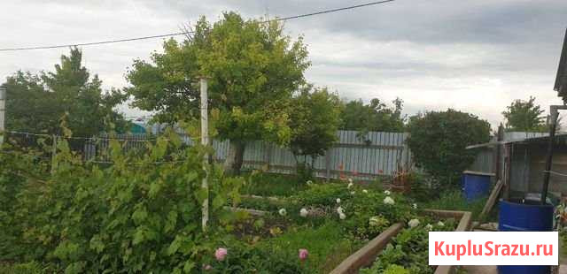 Дача 30 м² на участке 9 сот. на продажу в Красном Яре Самарской области Красный Яр - изображение 2