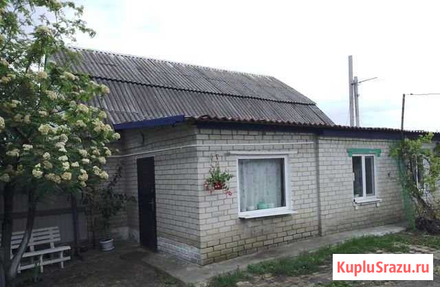 Дом 90 м² на участке 40 сот. на продажу в Октябрьском Белгородской области Октябрьский - изображение 3