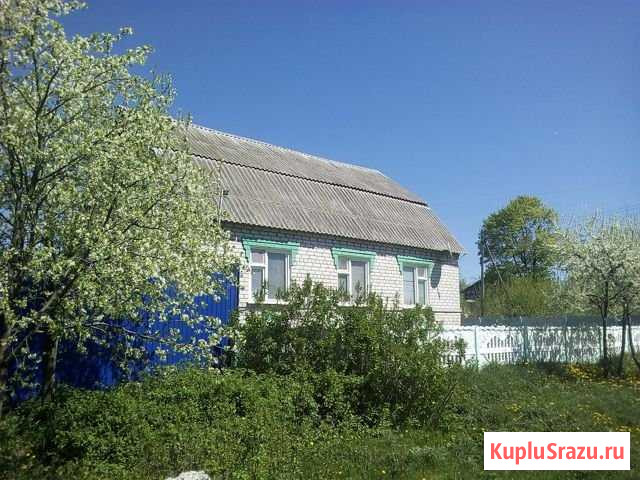 Дом 90 м² на участке 40 сот. на продажу в Октябрьском Белгородской области Октябрьский - изображение 2