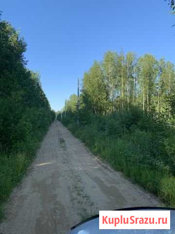 Участок СНТ, ДНП 11 сот. на продажу в Мге Мга - изображение 1