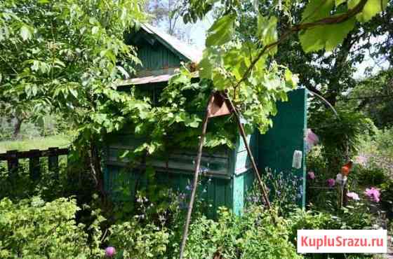 Дача 20 м² на участке 5 сот. на продажу в Новозыбкове Новозыбков