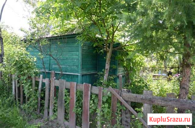 Дача 20 м² на участке 5 сот. на продажу в Новозыбкове Новозыбков - изображение 3