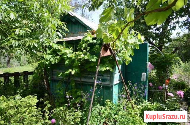 Дача 20 м² на участке 5 сот. на продажу в Новозыбкове Новозыбков - изображение 1