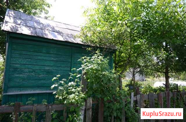 Дача 20 м² на участке 5 сот. на продажу в Новозыбкове Новозыбков - изображение 2