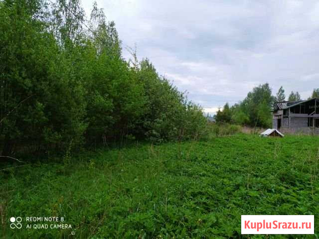 Дом 70 м² на участке 19 сот. на продажу в Кингисеппе Кингисепп - изображение 3