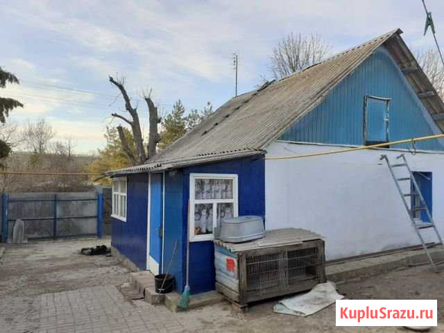 Дом 40 м² на участке 27 сот. на продажу в Северном Белгородской области Северный - изображение 3