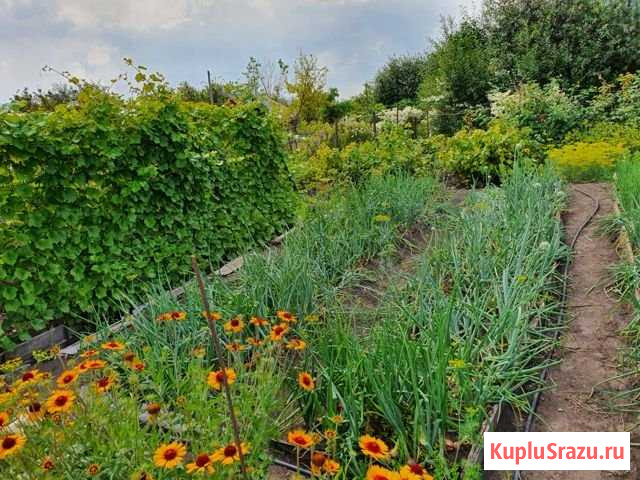 Дача 40 м² на участке 7 сот. на продажу в Барнауле Барнаул - изображение 2