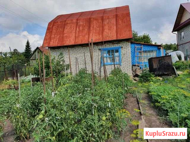Дача 40 м² на участке 7 сот. на продажу в Барнауле Барнаул - изображение 1