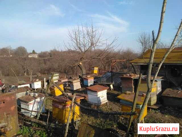 Дом 70 м² на участке 40 сот. на продажу в Казаках Казаки - изображение 2