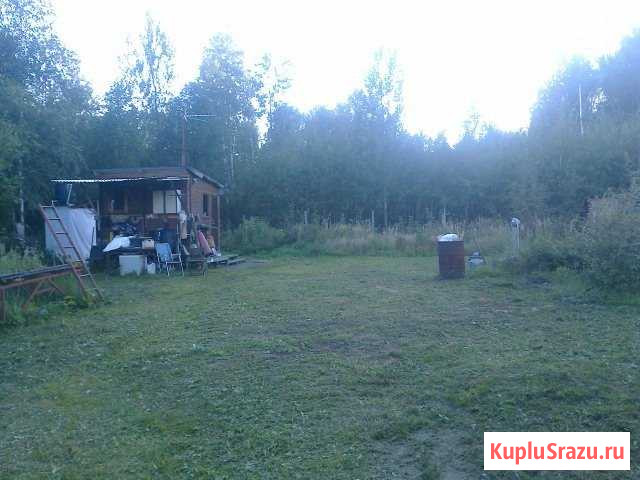 Участок СНТ, ДНП 6 сот. на продажу в Егорьевске Егорьевск - изображение 2