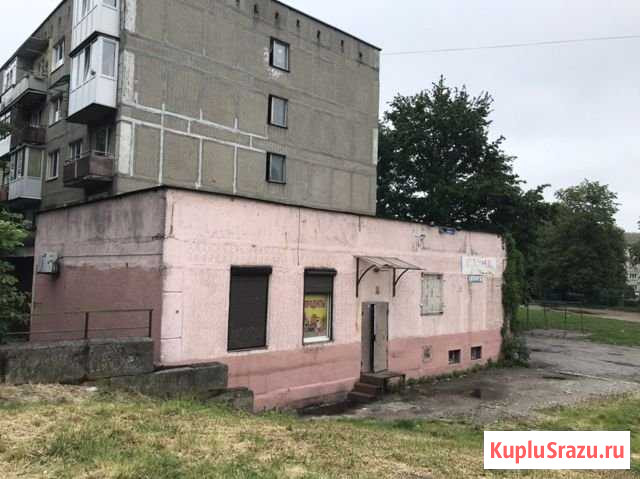 Помещение 180м Калининград - изображение 2
