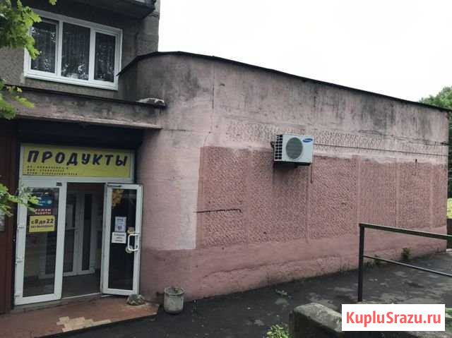 Помещение 180м Калининград - изображение 3