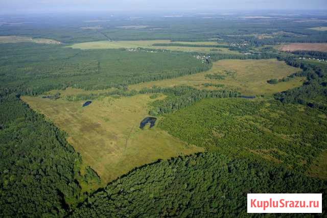 Участок СНТ, ДНП 12011 сот. на продажу в Ступино Ступино - изображение 2