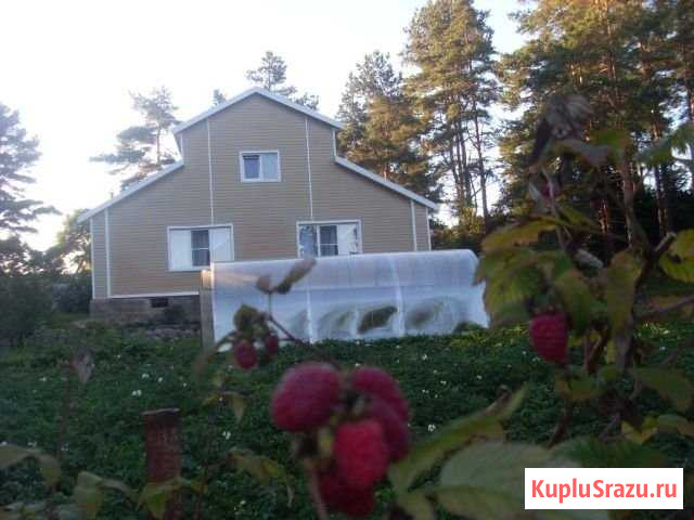 Дом 140 м² на участке 20 сот. на продажу в Пушкинских Горах Пушкинские Горы - изображение 1