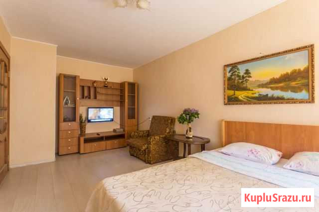 1-комнатная квартира, 32 м², 2/5 эт. в аренду посуточно в Великом Новгороде Великий Новгород - изображение 3