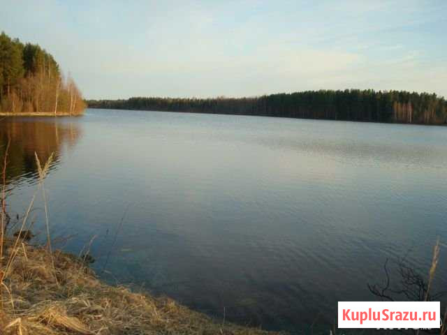 Участок ИЖС 15 сот. на продажу в Кирове Киров - изображение 1