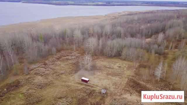 Участок ИЖС 25 сот. на продажу в Коробицыно Коробицыно - изображение 2