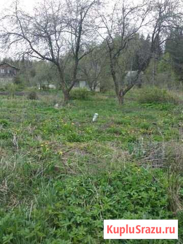Дача 20 м² на участке 5 сот. на продажу в Людиново Людиново - изображение 3