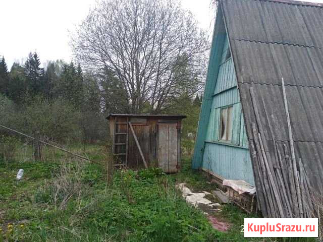 Дача 20 м² на участке 5 сот. на продажу в Людиново Людиново - изображение 1
