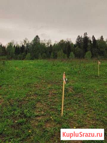Участок ИЖС 6 сот. на продажу в Звенигороде Звенигород - изображение 2